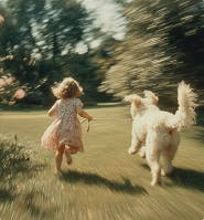 AI Toolkit - Image and Video Generation - Inspiration Gallery