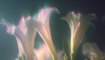 Seeadream 4.5