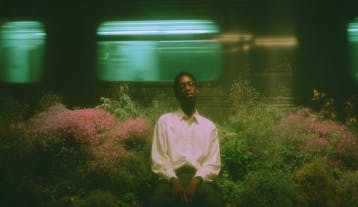 Professionals that use AI models