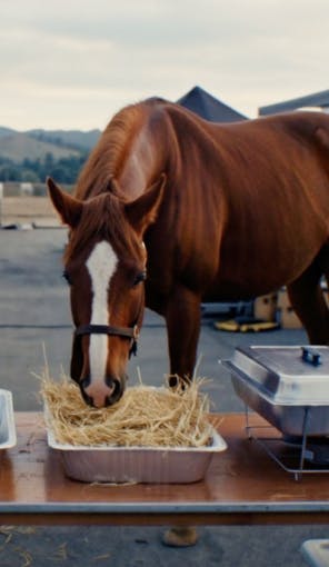 How Artlist built a Super Bowl ad in just 5 days