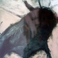 Barcelona Bulls #5<br>2006<br>23 x 23 1/2<br>Oil, mixed media, on paper<br><em></em>
