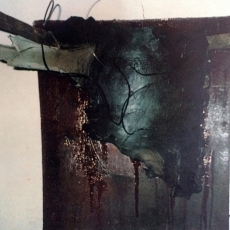 Can Serrat Barcelona/Installation #1<br>2006<br>30 x 30 1/2<br>Acrylic, mixed media, on gallery wall<br><em></em>