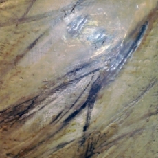  <br><em></em>